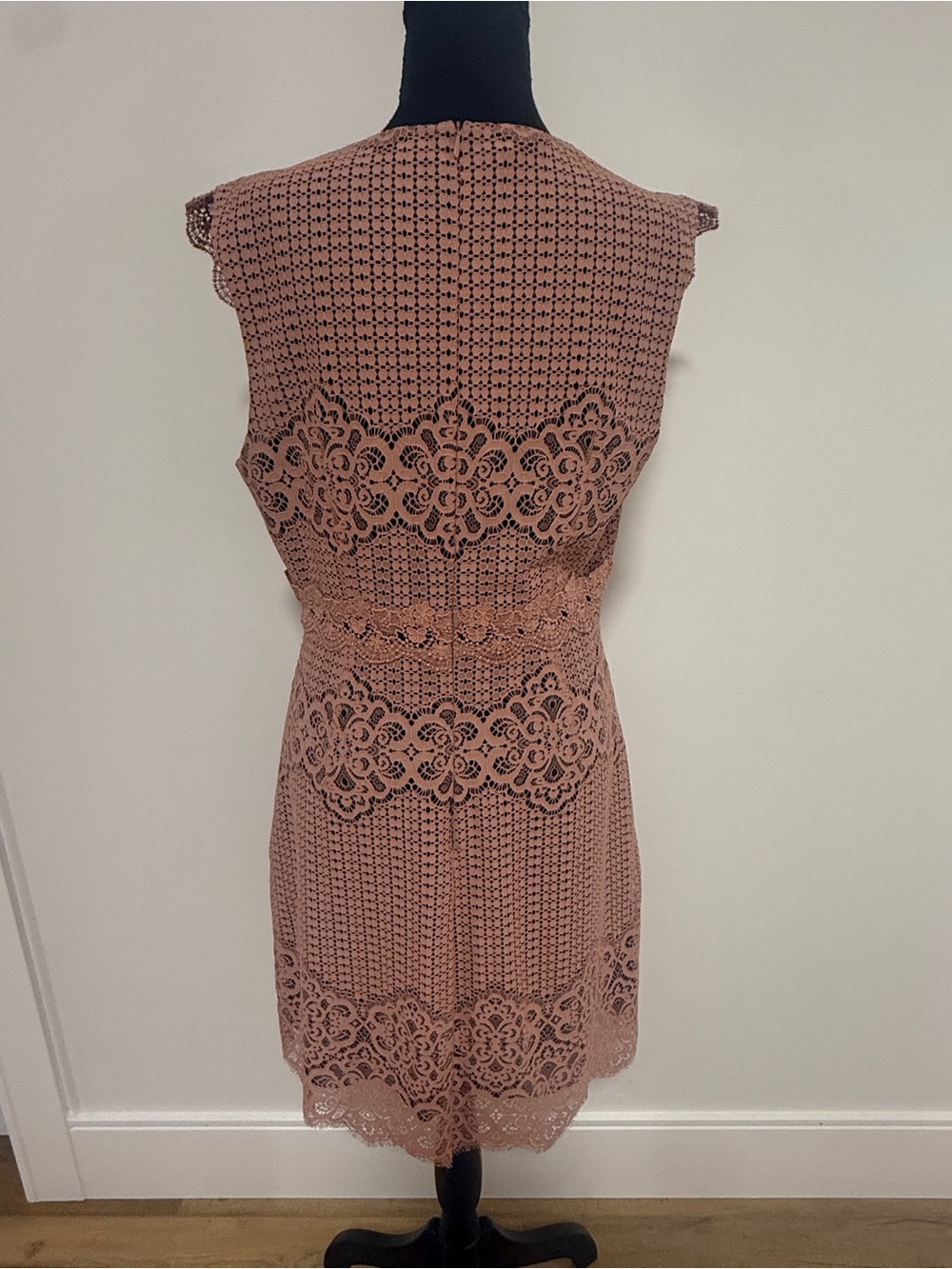 Pinko Fall 2019Collection Lace Mini Dress Dusty Blush Pink Mauve Medium Designer - Picture 4 of 8